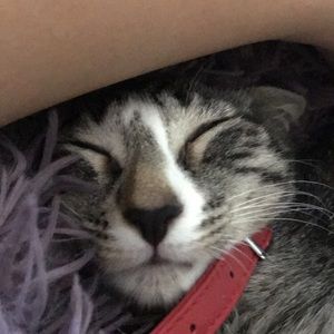 Meet your Posher, Alexandra